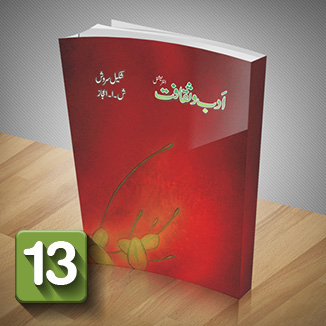 13